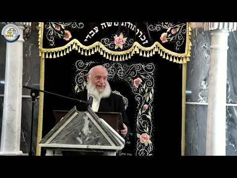 תחינות במהלך התקיעות ועניני שופר בהלכה ובאגדה | מאת מרן הרב אשר וייס שליט"א | תשפ"ה
