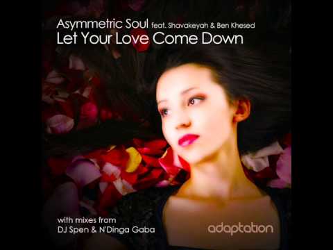 AM028 Asymmetric Soul - Let Your Love Come Down (DJ Spen & N'Dinga Gaba Remix)