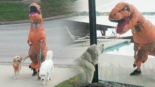 T-REX DINOSAUR SUIT PRANK! (Super Cooper Sunday #72)