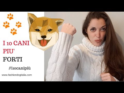Consigli malattia articolare Mal di schiena nella zona delle lame cause