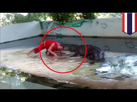 Imagini ȘOCANTE și INTERZISE minorilor. Un crocodil &icirc;l PRINDE DE CAP pe un &icirc;ngrijitor &icirc;n timpul unui spectacol!