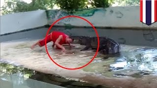 Crocodile attack: Thai zookeeper puts head in croc’s mouth, croc takes a bite - TomoNews