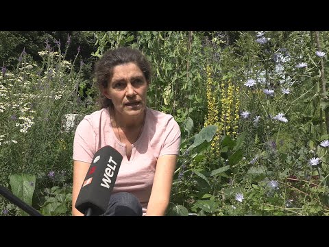 CO2-Steuer: Diese Familie wagt das Experiment - sie lebt klimaneutral