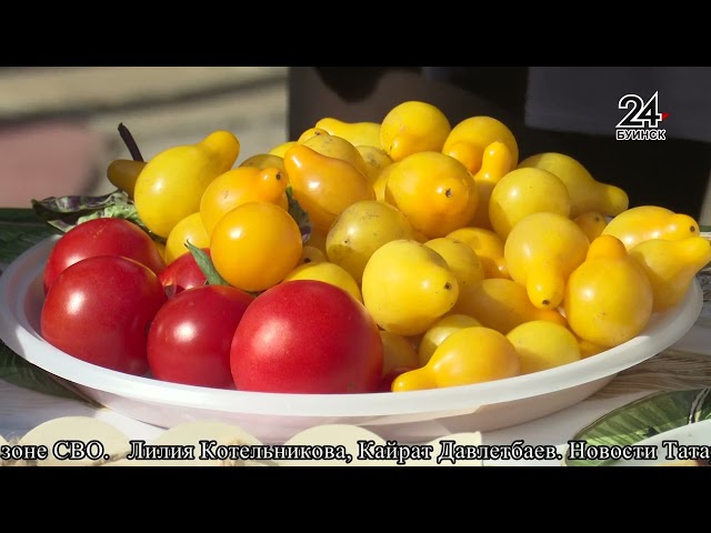 Новости ТРК «Буа дулкыннары» от 24.09.24