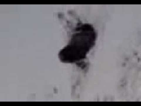 rosie sledging decoy