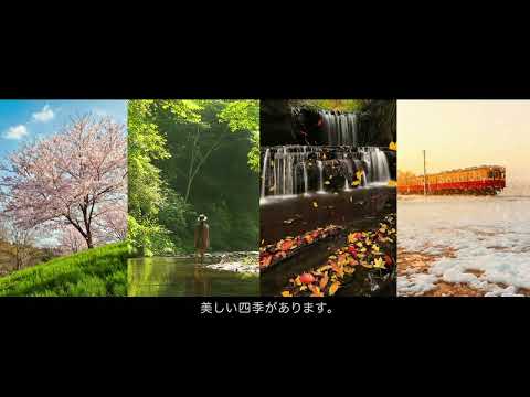 世界に一番近い里山 Ichihara, the closest Satoyama to the world