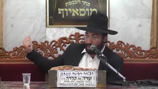 הרב מיכאל רביע | תחית המתים • מה סיפר עד ראייה שכבר היה בשקית של זק"א • האסון במירון