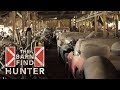 365ft Barn, dusty Jaguar E-Types and an angry opossum | Barn Find Hunter - Ep. 20