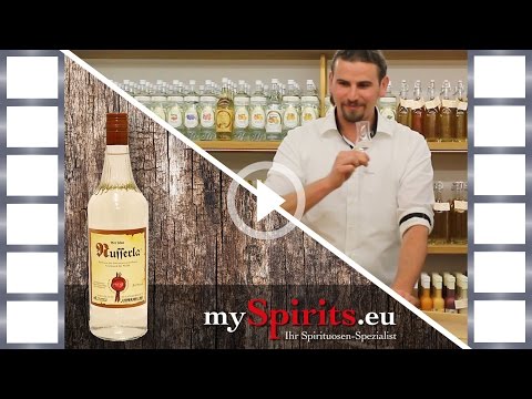 So schmeckt der Prinz Nusserla – Milder Haselnuss-Likör im Tasting | mySpirits