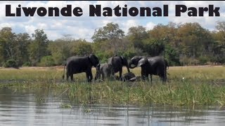 preview picture of video 'Boat Safari in Liwonde National Park, Malawi'