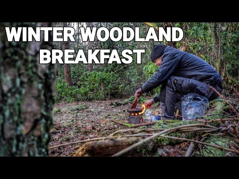 Winter Woodland Twig Stove Cooking