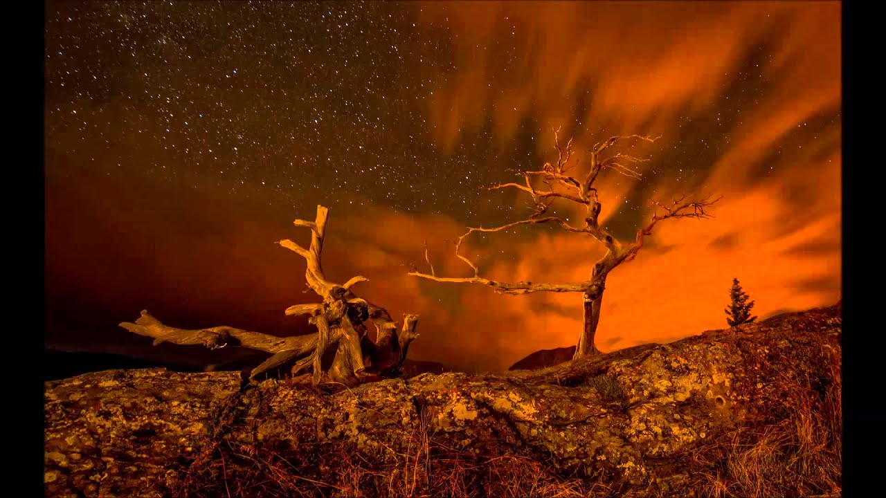 Calmunity - Experience