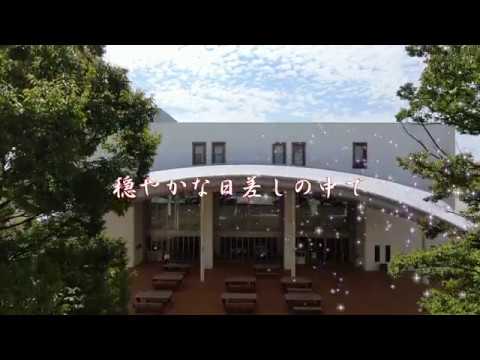 穏やかな日差しの中で