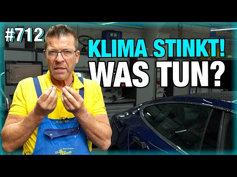 TESLA STINKS! 🤢 How to clean the air conditioning! | BMW tailgate CREAKS! 😖😖 What to do?