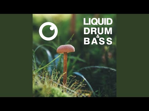 Liquid Drum & Bass Sessions 2020 Vol 39