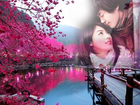 Yêu em bốn mùa Sheet - Thu Trang