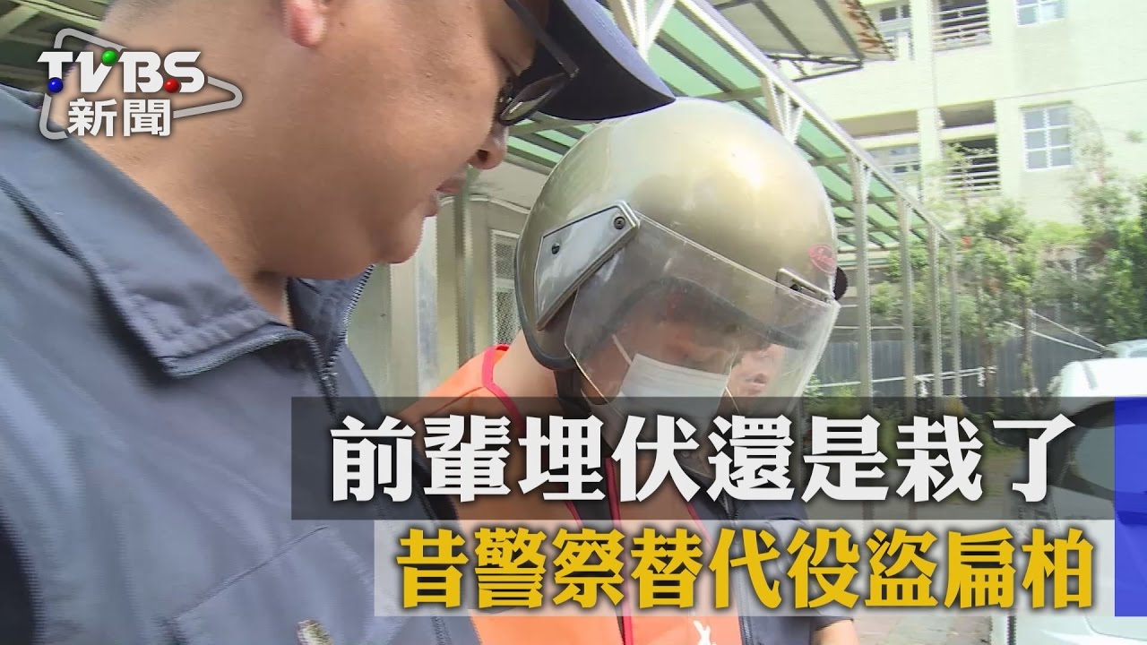 昔警察替代役盜扁柏　前輩埋伏還是栽了