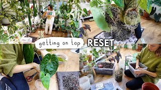 Getting My Life Together 🌱 Cleaning, Repotting + MOTIVATION