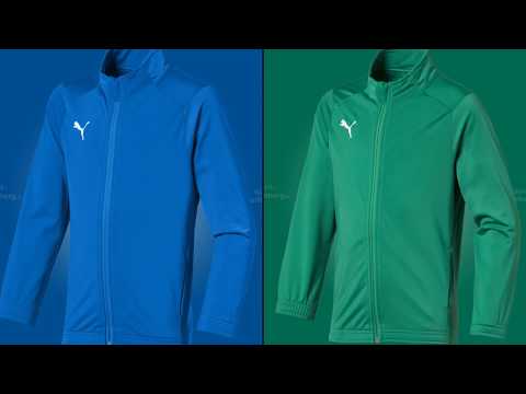 Puma Liga Core Polyesteranzug (Sideline Trainingsanzug)