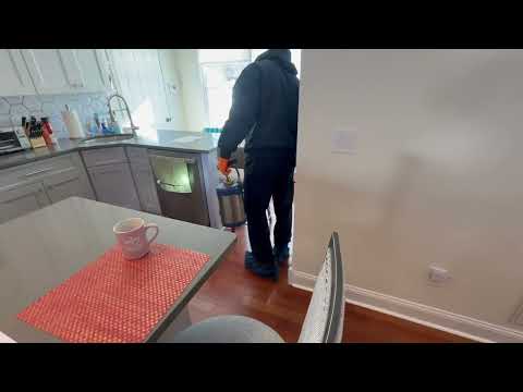 Treating for Ants Inside Home in Highlands, NJ