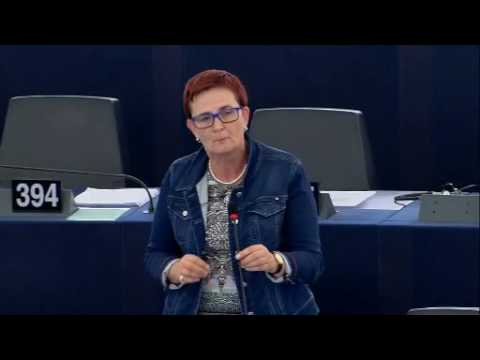 MEP Birgit Sippel im Plenum: Situation in der Türkei - 13.09.2016