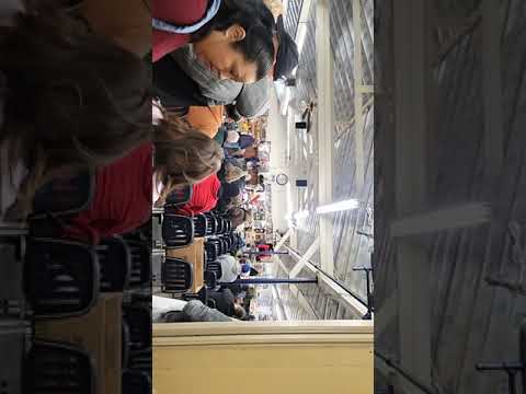 Ephrata Auction