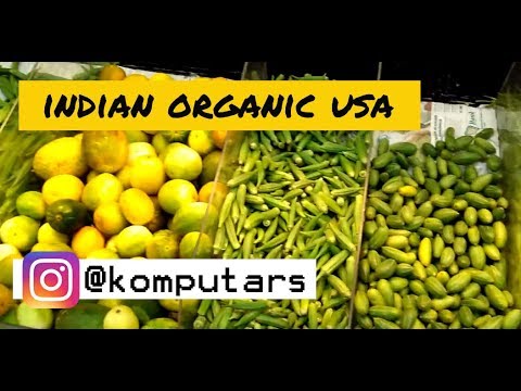 download lagu mp3 mp4 Organic Online Store Usa, download lagu Organic Online Store Usa gratis, unduh video klip Organic Online Store Usa