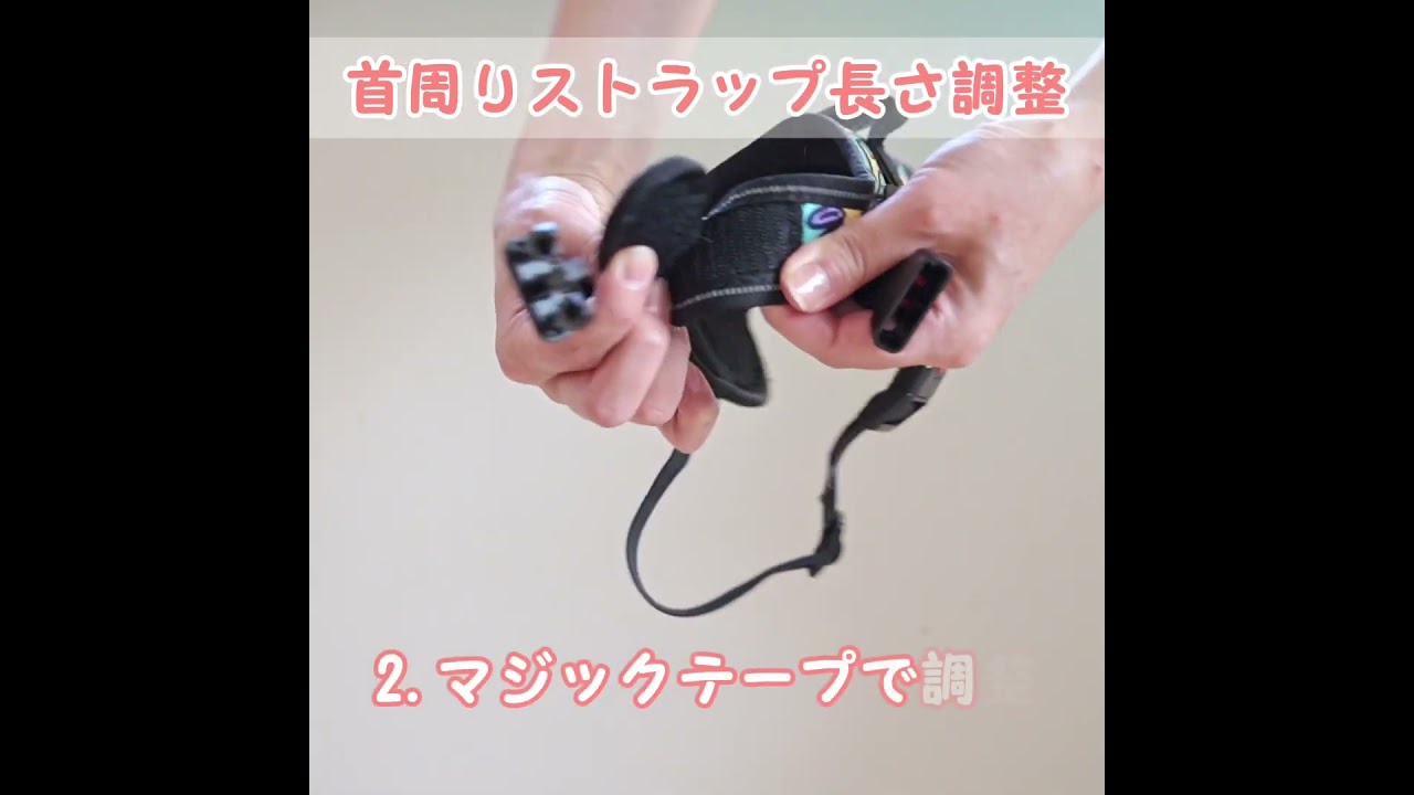 ペット用品の商品動画事例｜装着のしやすさを見せる実演カット