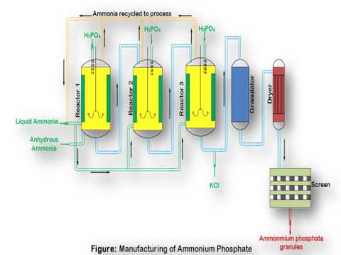 Manufacturing of ammonium phosphate