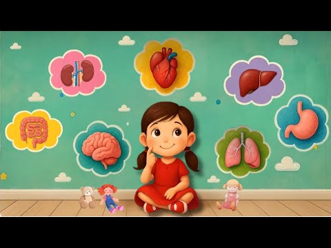Organlarım Şarkısı 🎶 | Okul Öncesi Eğitici Şarkı | Organlar ve Görevleri