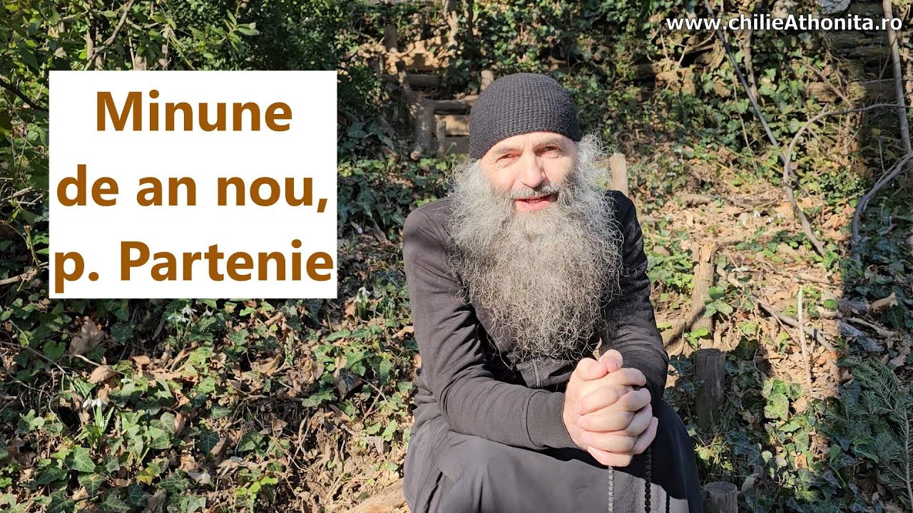 Minune de an nou, p. Partenie - p. Pimen Vlad