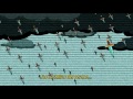 Sparklehorse - Knives of Summertime (subtitulos español)