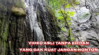 Download lagu God's power is there is a snake that meditates until it is covered in moss in Nganjuk, the guardi... mp3