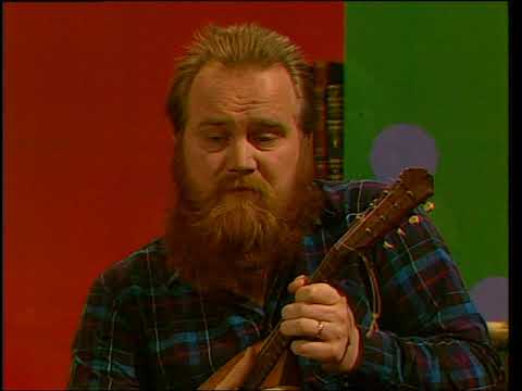 Elamaa Ikkunan Takana - Leevi And The Leavings