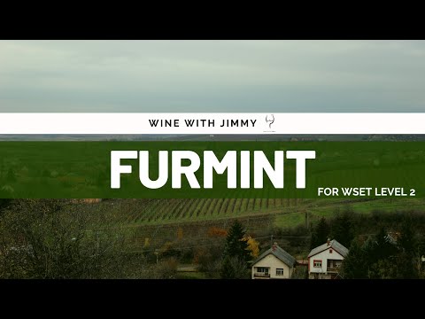 Grape Varieties - Furmint Intermediate Version ideal for WSET Level 2 Wine