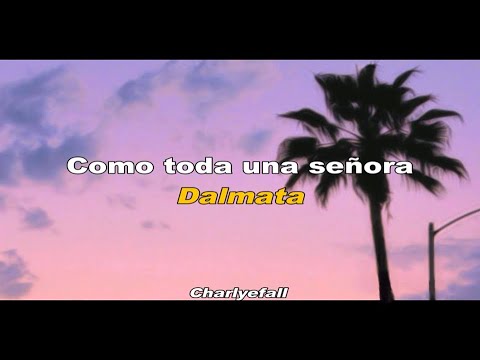Como toda una señora - Dalmata Letra