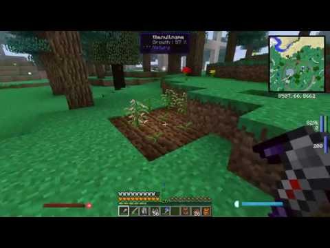 Ep23 - Playtime - Golem Cotton Farm