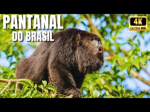 🌾Pantanal Selvagem | Onde a Água Tece a Vida | Fauna, Flora e Mistérios Naturais da Vida Pantaneira