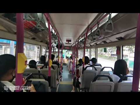 [SBST] Loud Radiator - SBS8756B On Service 156 - Scania K230UB Euro V Gemilang Batch 1