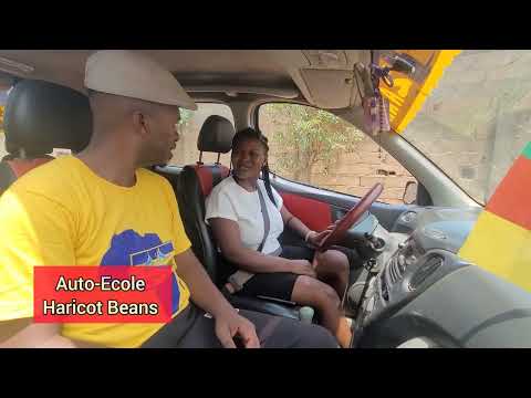 Auto-Ecole avec NIKITA