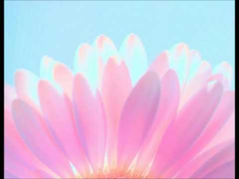 Jesse Spencer - Molly Smiles (Lyrics)