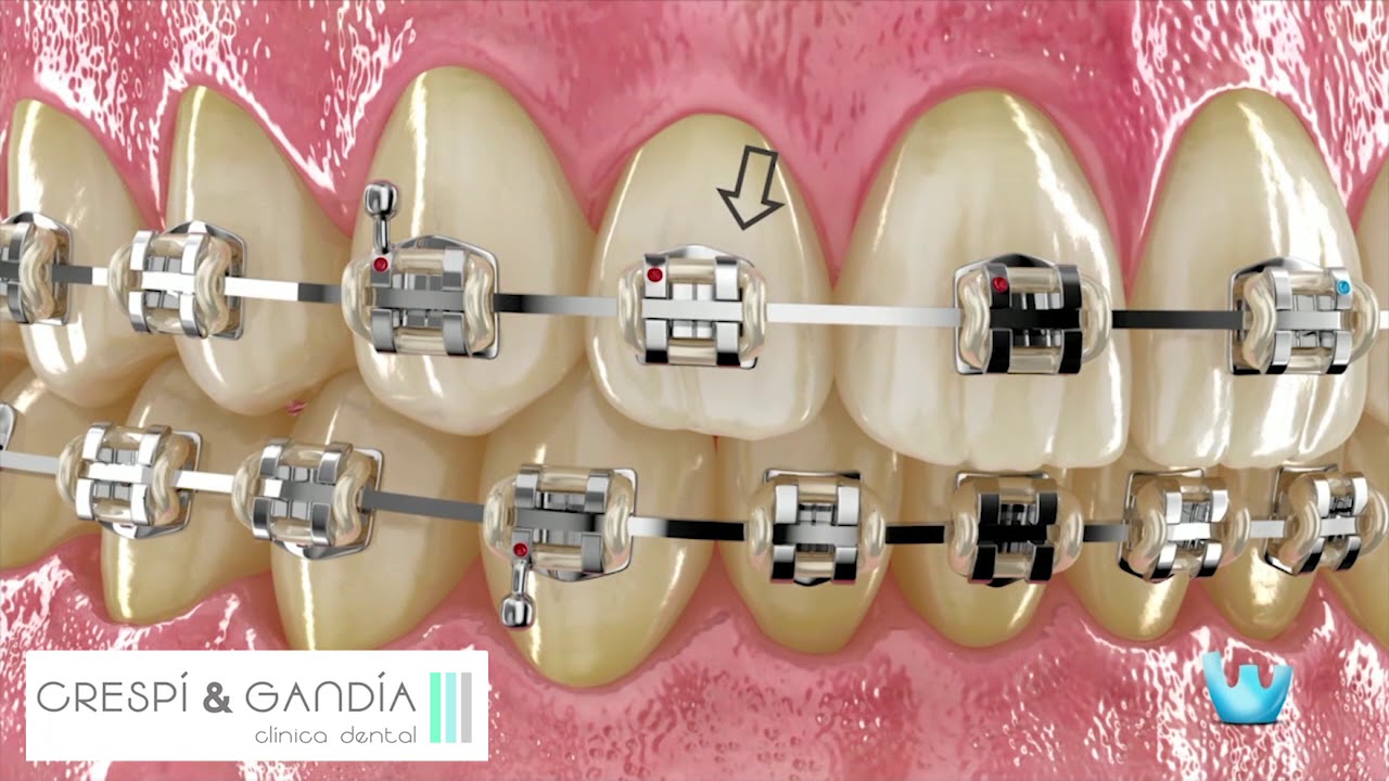 Vicente Gandía Aguiló-25