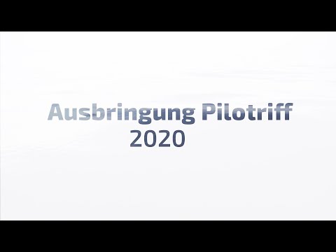 RESTORE: Wiederansiedlung der Europäischen Auster am Pilotriff Borkum