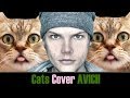 Avicii Wake Me Up Cats Cover