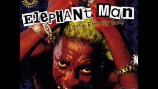 Elephant Man Feat. Ce&#39;Cile - Bad Gal, Bad Man