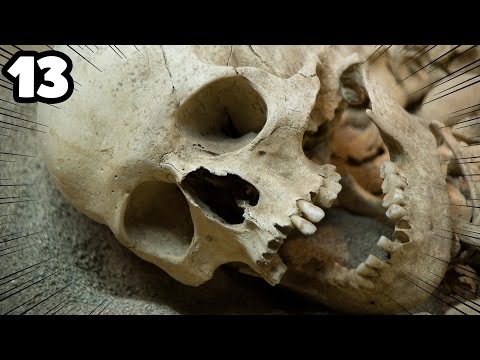 Pokémon N2 DualLocke Ep.13 - I DON'T KNOW HOW TO TITLE THIS VIDEO