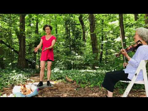 Forest Dog Dance: Miss #Moonshine #Buckdancing to Sugar in the Gourd (G) #fiddling by Jan Smith