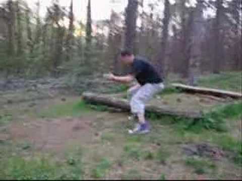 Stipan-Golub the Beesni