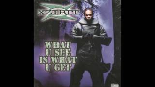 &quot;What U See Is What U Get&quot;-Xzibit