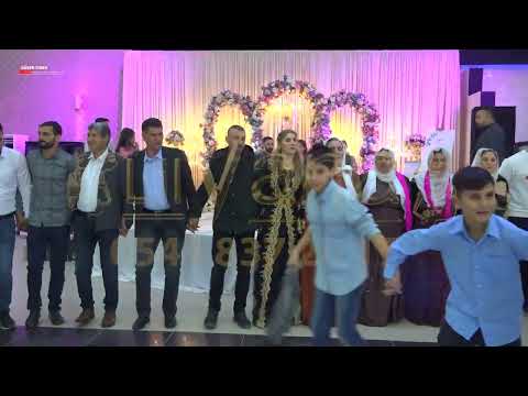 SÜPER KÜRTÇE ŞEVKO HALAYI LEYLA YILMAZ  DAVATE 2024 Part 04 Lilyana Düğün Salonu & Foto Güven